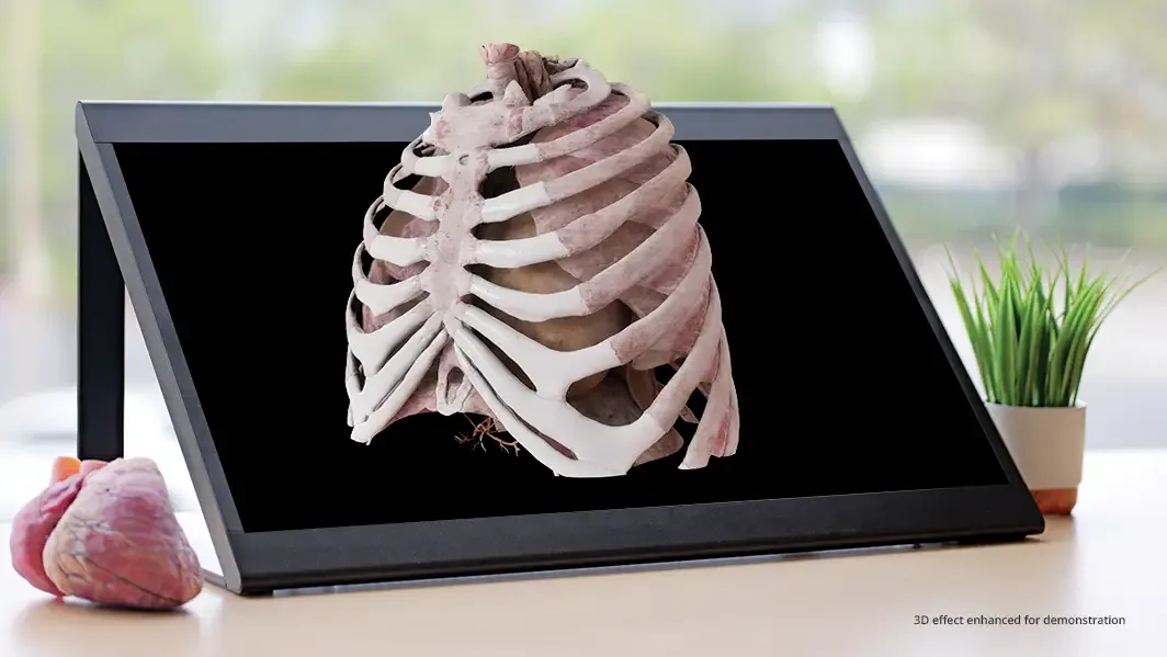 Anatomage Xtreme Reality