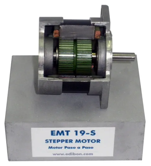 EMT19-S: Cutaway Stepper Motor