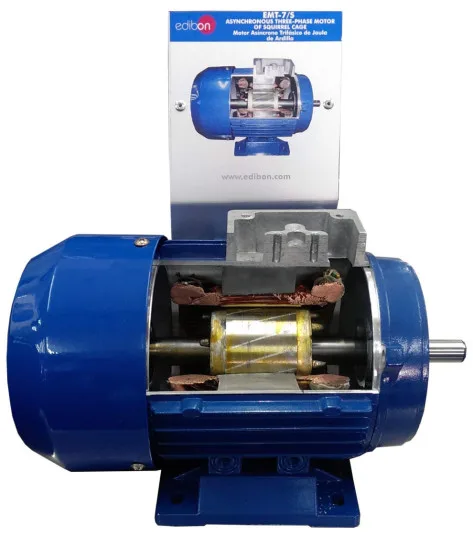 EMT7-S: Cutaway 3PH Squirrel-Cage Motor
