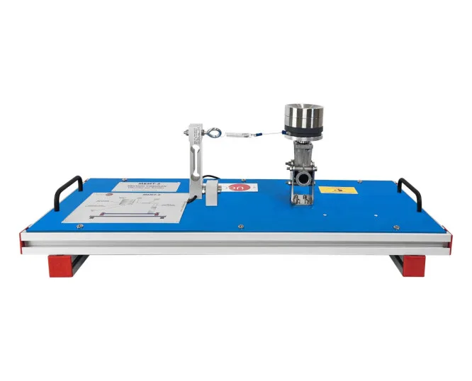 MEMT-6: Friction Vibration