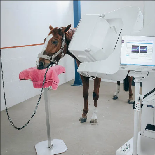 ParalyzerPLUS Real-Time Motion Correction