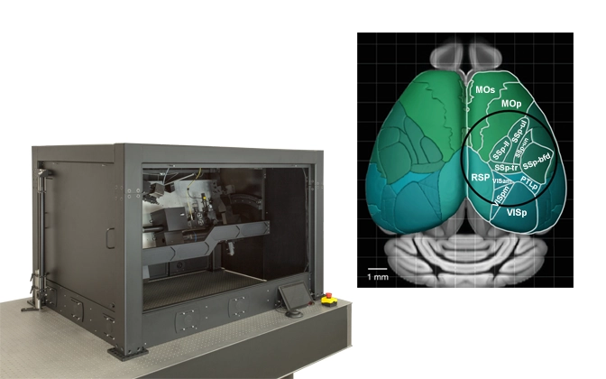 Multiphoton Mesoscope (2p-RAM)