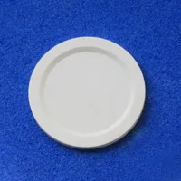 MBF-BND Boron Nitride Disk for Holding the Sample