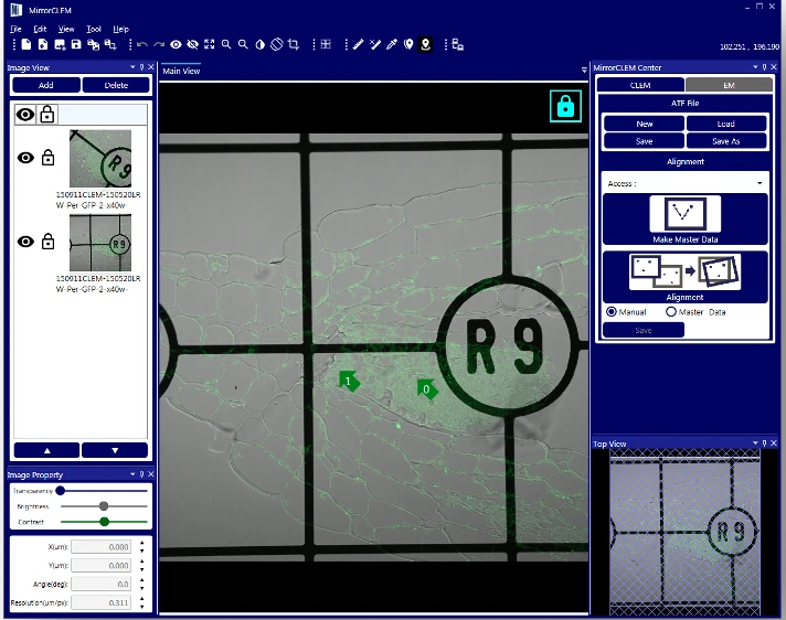 MirrorCLEM System for Correlative Light and Electron Microscopy. MirrorCLEM software interface published by its developer, Astron. Available system configuration should be confirmed with the quotation.