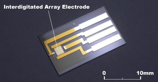 012125 IDA Gold Electrode. Manufacturer IDA electrode family illustration; confirm the selected electrode material.