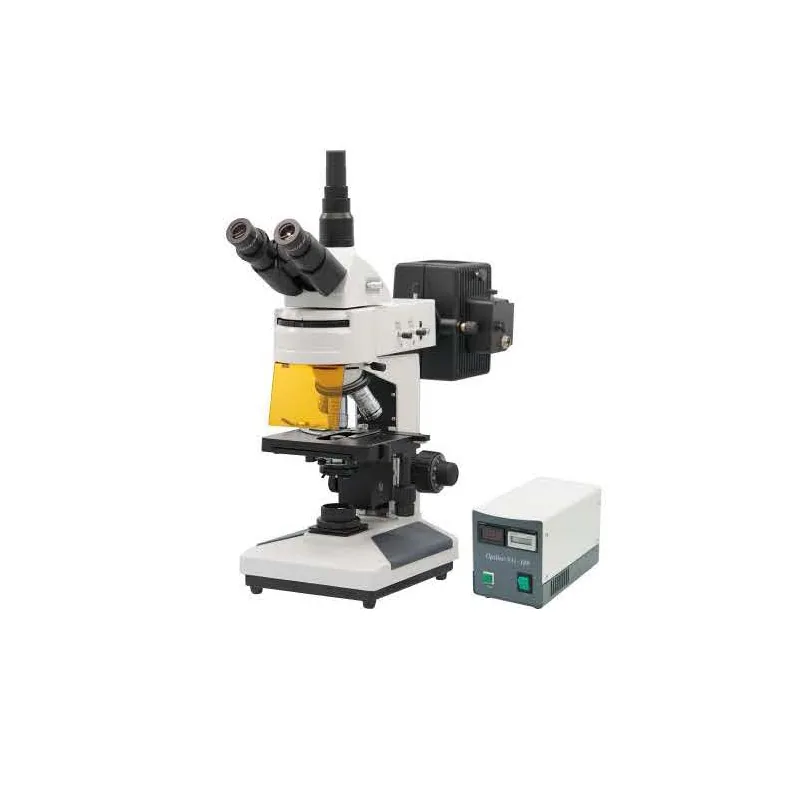 BIOBASE Fluorescence Biological Microscope BM-13CYII (Customized)