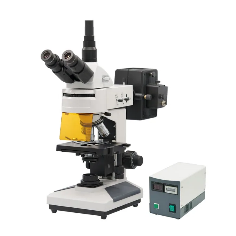 BIOBASE Fluorescence Biological Microscope(customize)