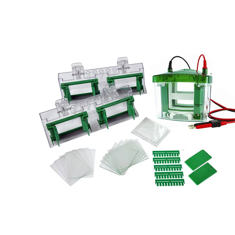 BIOBASE Vertical Electrophoresis Tank BK-VET02