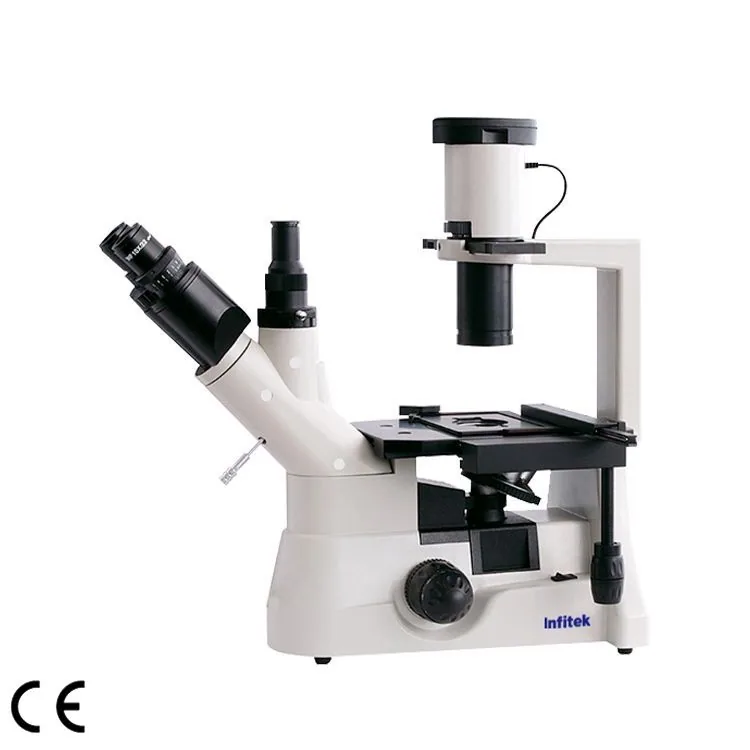 Infitek Inverted Microscope, MSC-IV403
