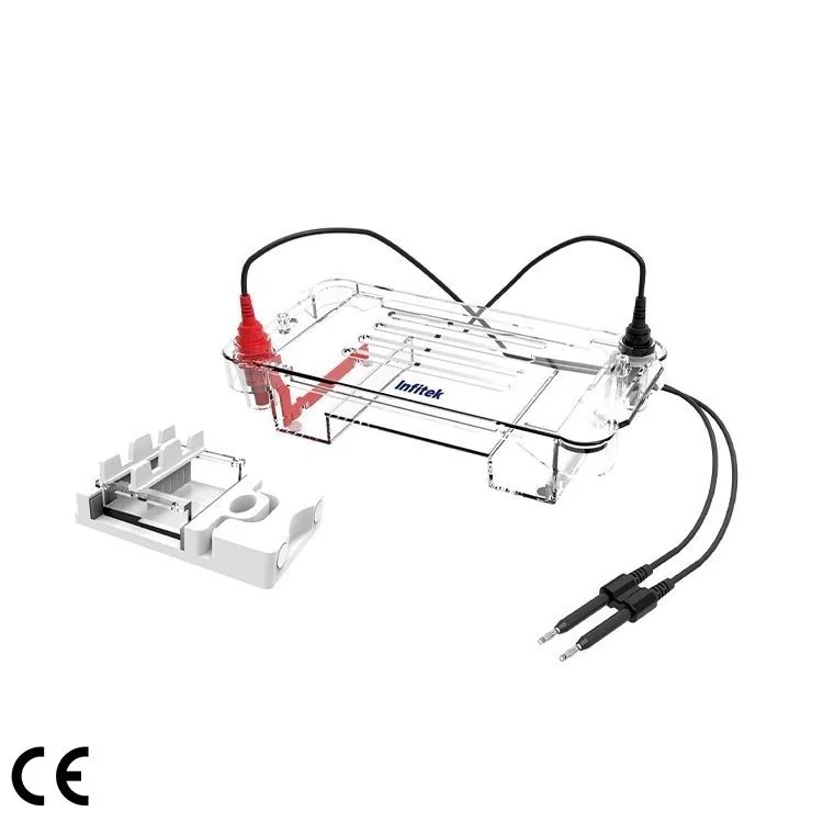 Infitek Horizontal Electrophoresis Cell, GEP-HH-SUB01