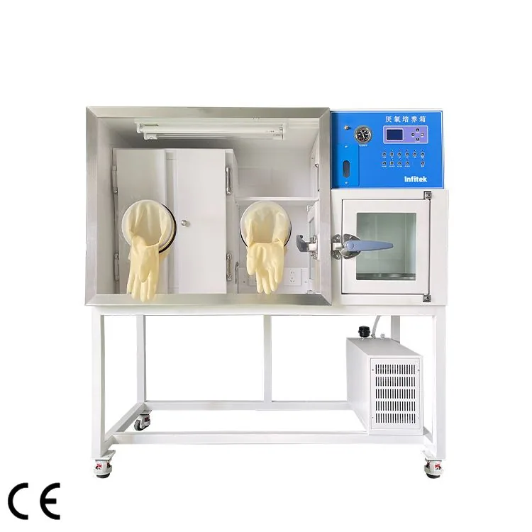 Infitek Anaerobic Incubator, ICB-AN-HYQIII