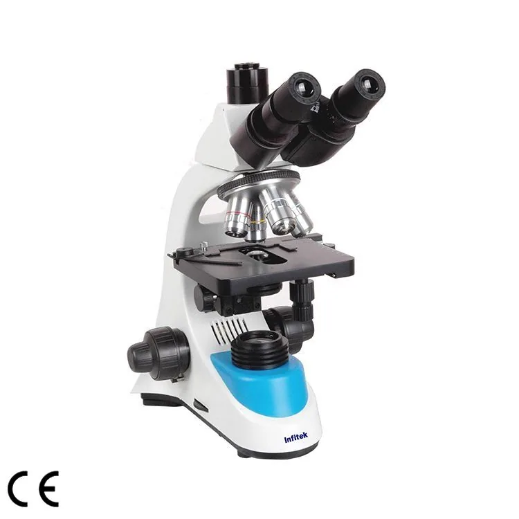 Infitek Biological Microscope, MSC-B208T(Siedentopf)
