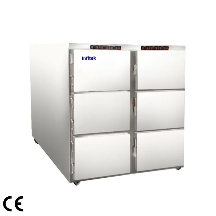 Infitek (Conventional) Corpse Refrigerator, MCFR-6000, 6 corpses