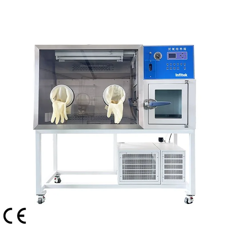 Infitek Anaerobic Incubator, ICB-AN-HYQIII-Z